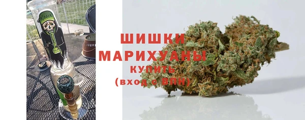 прущие грибы Инсар