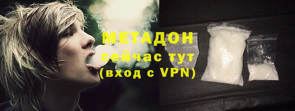 прущие грибы Инсар