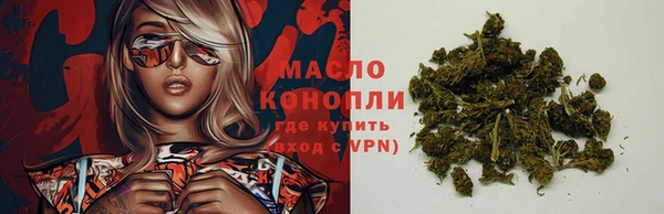 прущие грибы Инсар