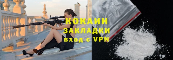 прущие грибы Инсар