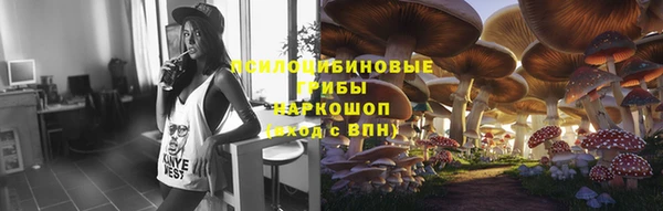 прущие грибы Инта