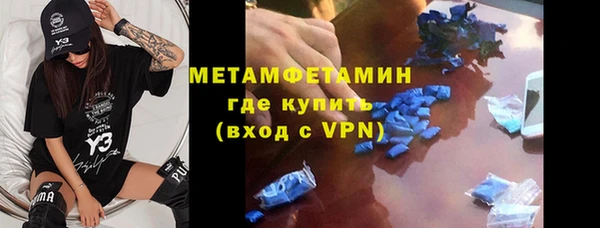 прущие грибы Инсар