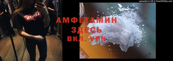 прущие грибы Инта