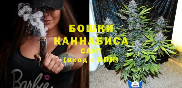 прущие грибы Инта