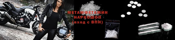 прущие грибы Инсар