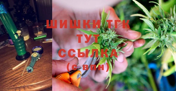 прущие грибы Инта