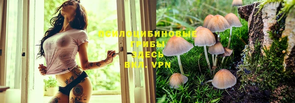 прущие грибы Инсар