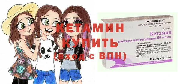 прущие грибы Инта