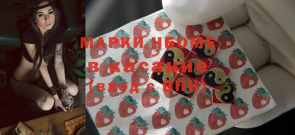 прущие грибы Инсар