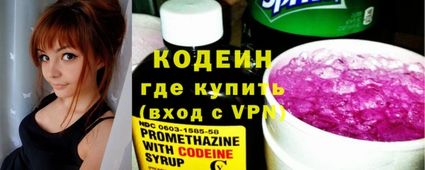 прущие грибы Инсар