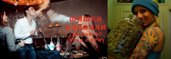 прущие грибы Инта