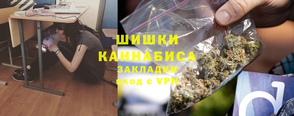 прущие грибы Инта