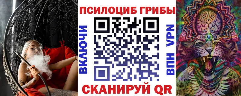 Купить закладки  Гусь-Хрустальный  Псилоцибиновые грибы Cubensis 